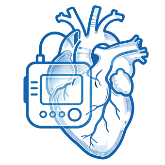 Excellent Biocompatibility